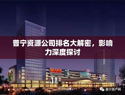 普寧資源公司排名大解密，影響力深度探討