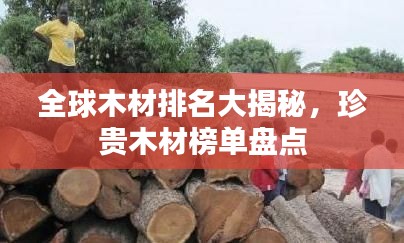 全球木材排名大揭秘，珍貴木材榜單盤點