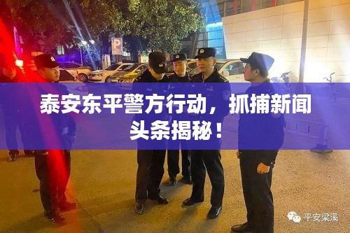 泰安東平警方行動，抓捕新聞頭條揭秘！