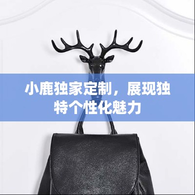 小鹿獨家定制，展現(xiàn)獨特個性化魅力