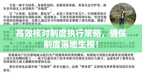 高效核對制度執(zhí)行策略，確保制度落地生根！