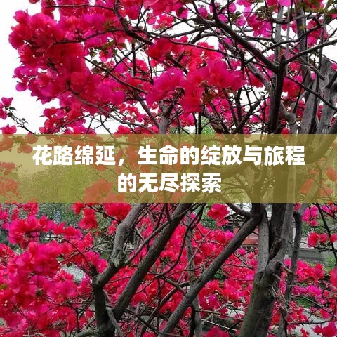 花路綿延，生命的綻放與旅程的無(wú)盡探索