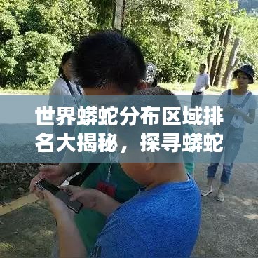 世界蟒蛇分布區(qū)域排名大揭秘，探尋蟒蛇棲息地的奧秘
