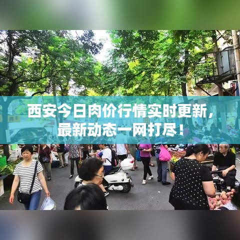 西安今日肉價行情實時更新，最新動態(tài)一網(wǎng)打盡！