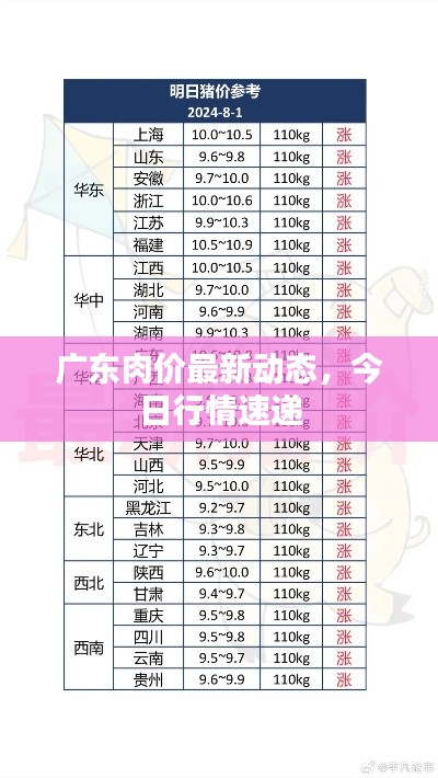 廣東肉價最新動態(tài)，今日行情速遞