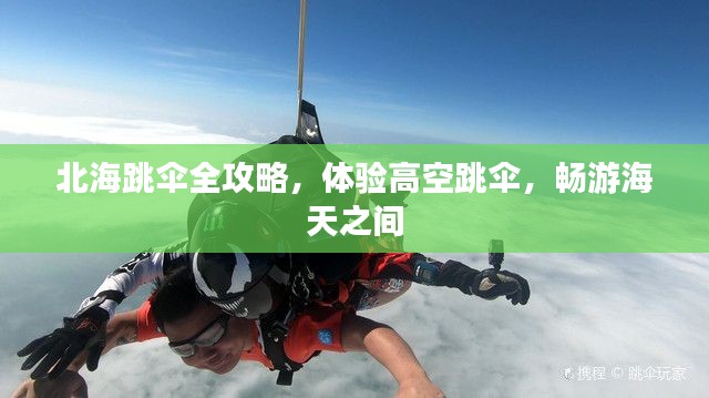 北海跳傘全攻略，體驗(yàn)高空跳傘，暢游海天之間