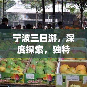 寧波三日游，深度探索，獨(dú)特體驗(yàn)之旅