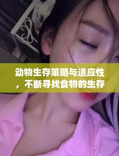 動(dòng)物生存策略與適應(yīng)性，不斷尋找食物的生存之道