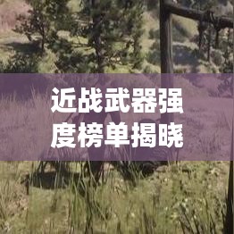 近戰(zhàn)武器強(qiáng)度榜單揭曉，前十名武器實(shí)力比拼！