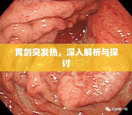胃劍突發(fā)熱，深入解析與探討