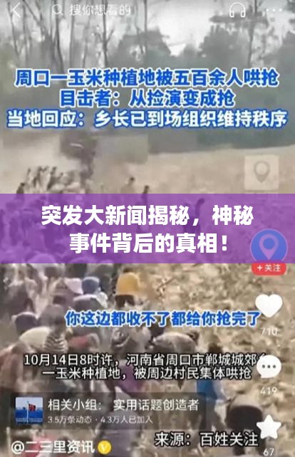 突發(fā)大新聞揭秘，神秘事件背后的真相！