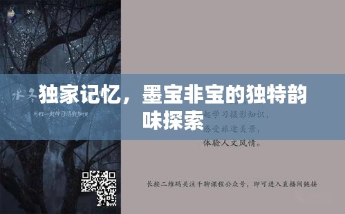 獨(dú)家記憶，墨寶非寶的獨(dú)特韻味探索