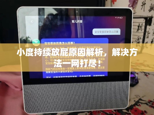 小度持續(xù)放屁原因解析，解決方法一網(wǎng)打盡！