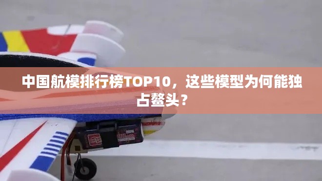 中國(guó)航模排行榜TOP10，這些模型為何能獨(dú)占鰲頭？