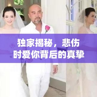 獨家揭秘，悲傷時愛你背后的真摯情感故事