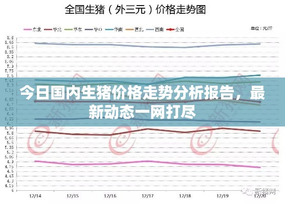 今日國(guó)內(nèi)生豬價(jià)格走勢(shì)分析報(bào)告，最新動(dòng)態(tài)一網(wǎng)打盡