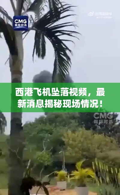 西港飛機(jī)墜落視頻，最新消息揭秘現(xiàn)場(chǎng)情況！