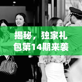 揭秘，獨家禮包第14期來襲，游戲迷的福音，快來領取大禮包！