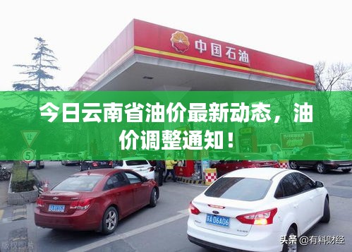 今日云南省油價(jià)最新動(dòng)態(tài)，油價(jià)調(diào)整通知！