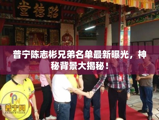 普寧陳志彬兄弟名單最新曝光，神秘背景大揭秘！