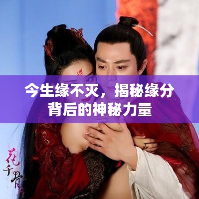 今生緣不滅，揭秘緣分背后的神秘力量