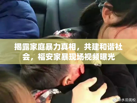 揭露家庭暴力真相，共建和諧社會，福安家暴現(xiàn)場視頻曝光