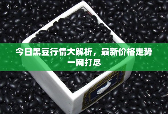 尊道貴德 第2頁(yè)