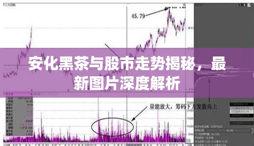 安化黑茶與股市走勢揭秘，最新圖片深度解析