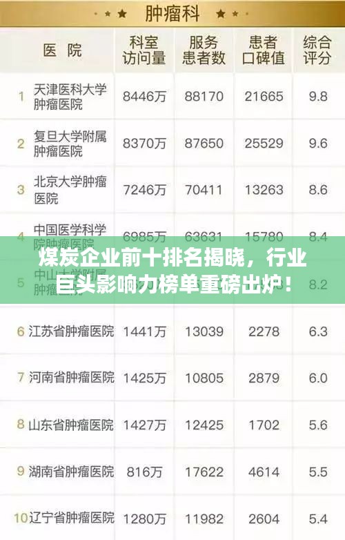 煤炭企業(yè)前十排名揭曉，行業(yè)巨頭影響力榜單重磅出爐！