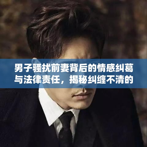 男子騷擾前妻背后的情感糾葛與法律責(zé)任，揭秘糾纏不清的法律紅線