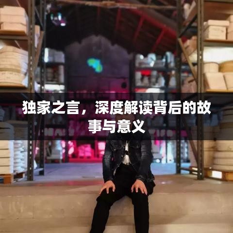 獨家之言，深度解讀背后的故事與意義