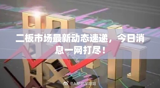二板市場(chǎng)最新動(dòng)態(tài)速遞，今日消息一網(wǎng)打盡！