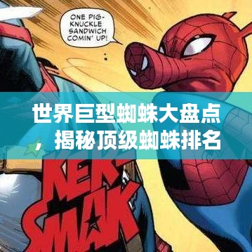 世界巨型蜘蛛大盤點(diǎn)，揭秘頂級蜘蛛排名！