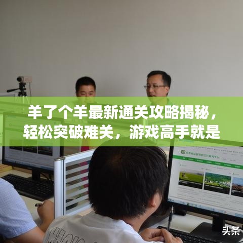 羊了個羊最新通關(guān)攻略揭秘，輕松突破難關(guān)，游戲高手就是你！
