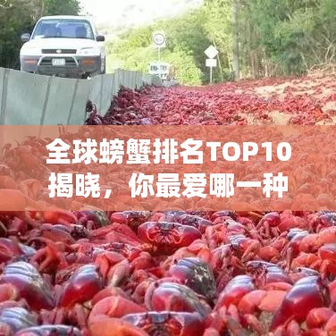 全球螃蟹排名TOP10揭曉，你最愛哪一種？