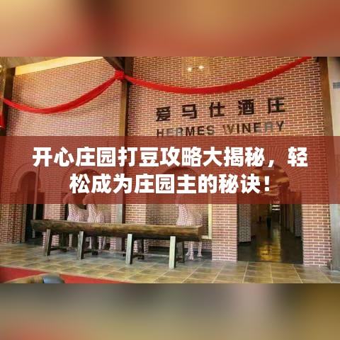 開心莊園打豆攻略大揭秘，輕松成為莊園主的秘訣！