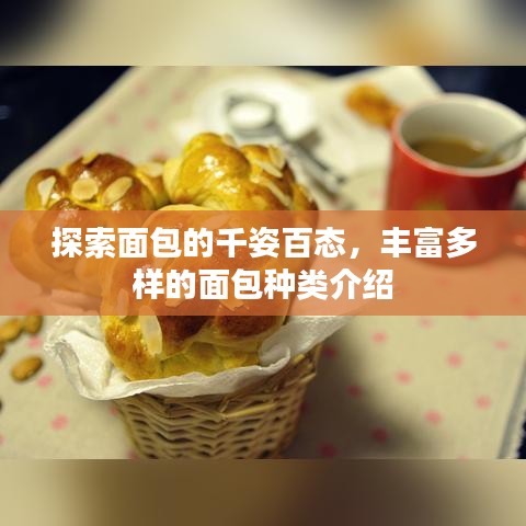 探索面包的千姿百態(tài)，豐富多樣的面包種類介紹