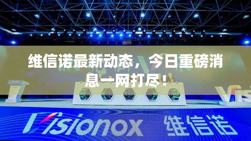 維信諾最新動態(tài)，今日重磅消息一網(wǎng)打盡！