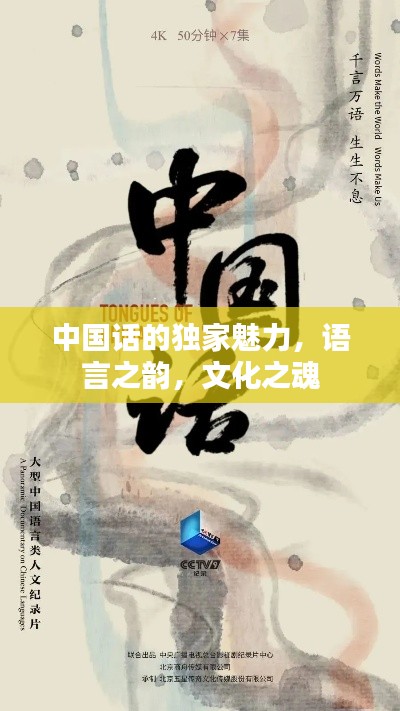 中國話的獨家魅力，語言之韻，文化之魂