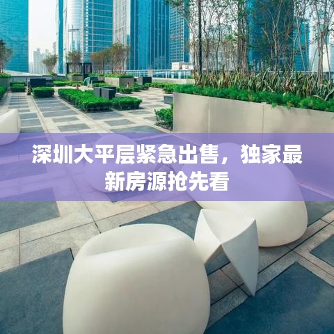 深圳大平層緊急出售，獨(dú)家最新房源搶先看