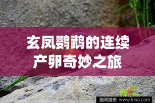 獨(dú)出新裁 第2頁