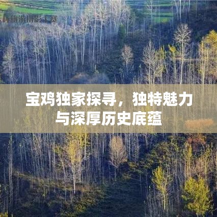 寶雞獨(dú)家探尋，獨(dú)特魅力與深厚歷史底蘊(yùn)