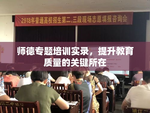 師德專題培訓(xùn)實(shí)錄，提升教育質(zhì)量的關(guān)鍵所在