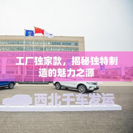 工廠獨家款，揭秘獨特制造的魅力之源