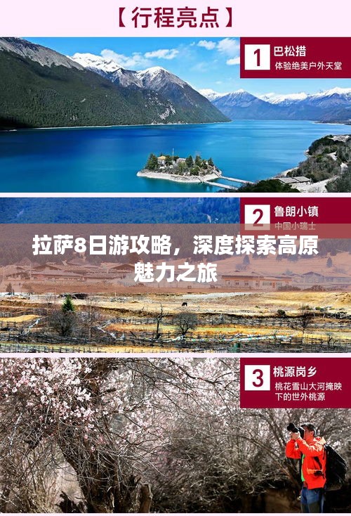 拉薩8日游攻略，深度探索高原魅力之旅