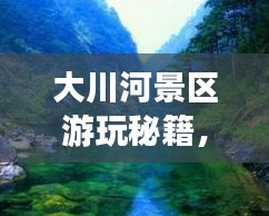 大川河景區(qū)游玩秘籍，暢游美景，盡享樂趣！