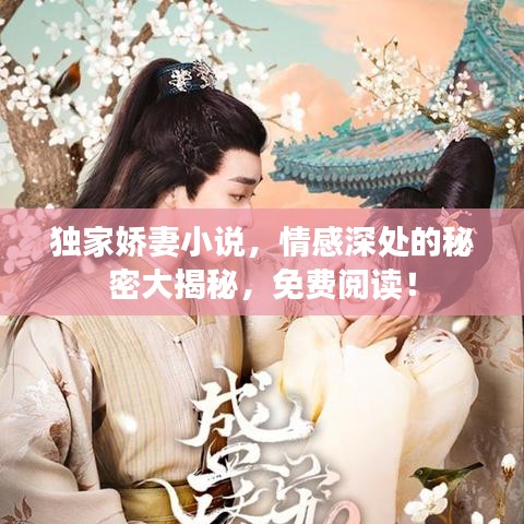 獨(dú)家嬌妻小說(shuō)，情感深處的秘密大揭秘，免費(fèi)閱讀！