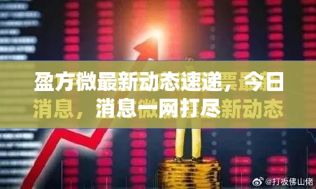盈方微最新動(dòng)態(tài)速遞，今日消息一網(wǎng)打盡