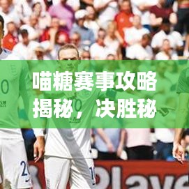 喵糖賽事攻略揭秘，決勝秘訣助你輕松奪冠！