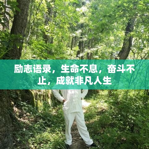 勵志語錄，生命不息，奮斗不止，成就非凡人生